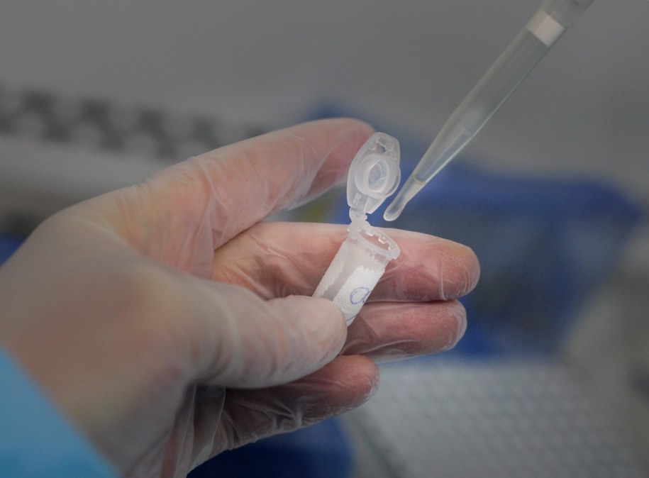 Odkryto porzucone próbki wirusa czarnej ospy