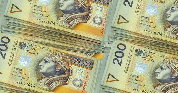 W okresie lipiec - wrzesień br. rekordzista próbował wyłudzić 20 mln zł /&copy; Panthermedia
