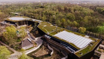 W Orientarium powstaje motylarnia i pawilon zwierząt nocnych