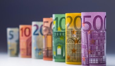 W. Orłowski: Wprowadzenie euro w Polsce nie musi oznaczać wzrostu cen
