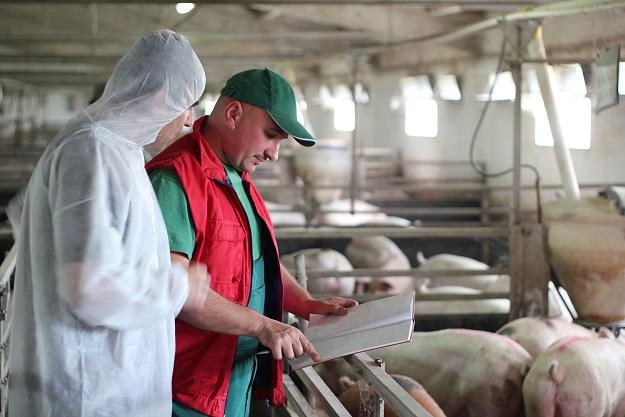 W ostatnich latach nad branżą producentów i przetwórców mięsa i wędlin zawisły czarne chmury /&copy;123RF/PICSEL