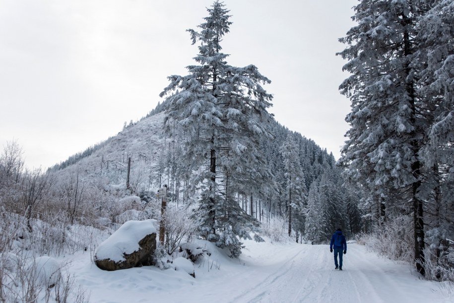 W partiach szczytowych Tatr pada śnieg, a warunki do uprawiania turystyki są trudne – ostrzega Tatrzański Park Narodowy /Shutterstock