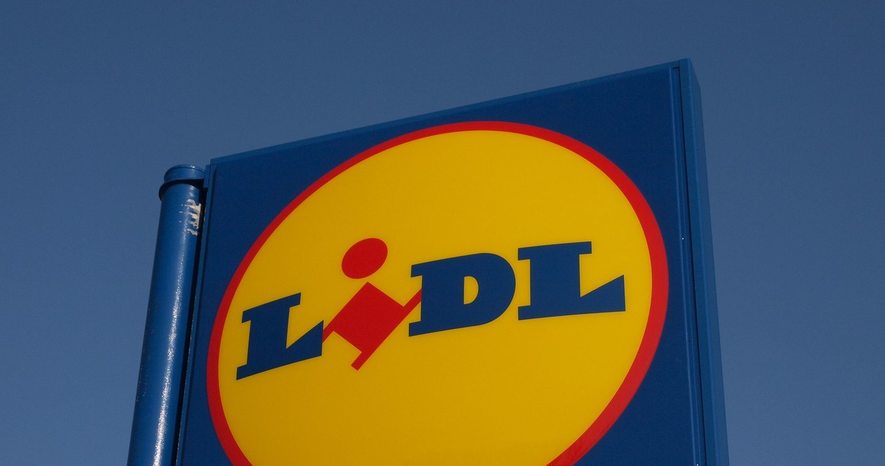 W październiku Lidl prowadzi rekrutacje na ponad 250 stanowisk /123RF/PICSEL