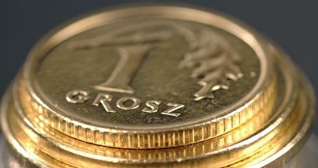 W perspektywie miesięcznej złoty może się osłabić do 4,10/EUR /&copy; Bauer