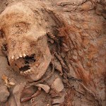 W Peru odkryto masowy grób 140 dzieci. 550 lat temu zostały złożone w ofierze