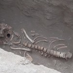 W Peru znaleziono grobowce. W nich szkielety ludzi złożonych w ofierze