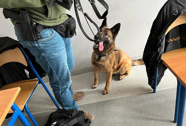 W pewnym momencie pies zareagował w sposób wskazujący na to, że wyczuł narkotyki /Dolnośląska Policja /