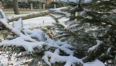 W piątek początek astronomicznej zimy 