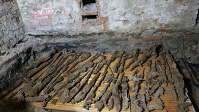 ​W piwnicy odkryto "arsenał". Nawet 80 elementów broni