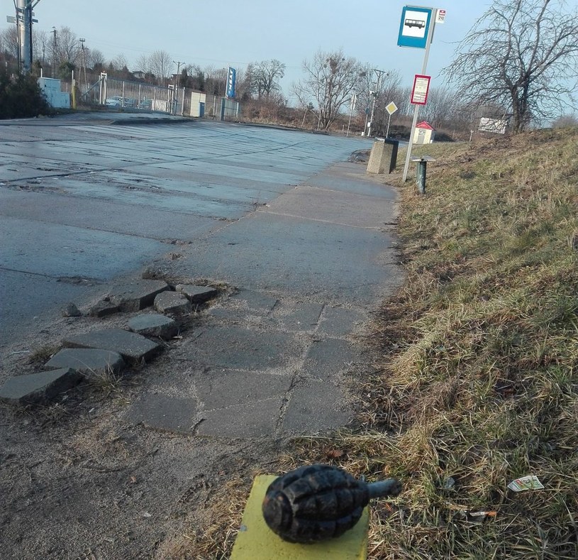 W pobliżu znajdował się przystanek autobusowy /Straż Miejska Gdańsk /