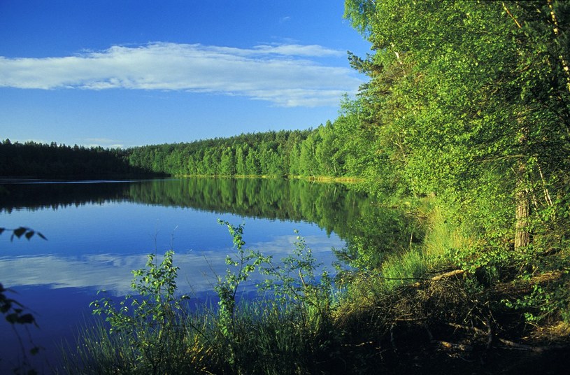 W pobliżu znajduje się jedno z najczystszych jezior w Polsce /PIOTR PLACZKOWSKI/REPORTER /East News