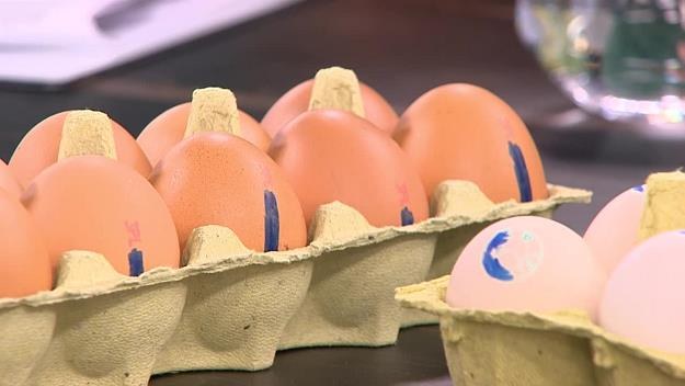 W Polsce 130 firm zrezygnowało ze sprzedaży i używania w swoich produktach jajek z chowu klatkowego /