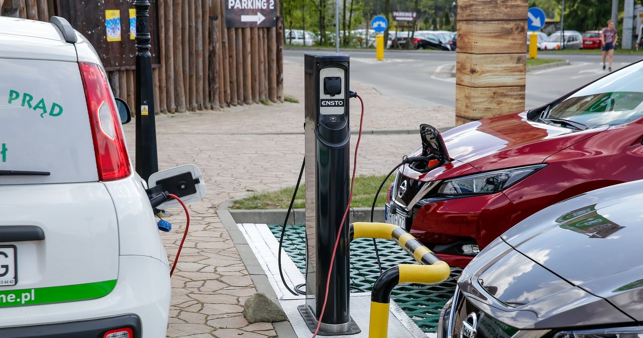 W Polsce brakuje infrastruktury, ale przede wszystkim - ceny samochodów są zbyt wysokie. Lub Polacy zbyt biedni /Tomasz Kawka /East News