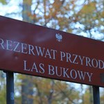 W Polsce mamy 1500 rezerwatów. Na kolejne możemy czekać nawet kilka lat