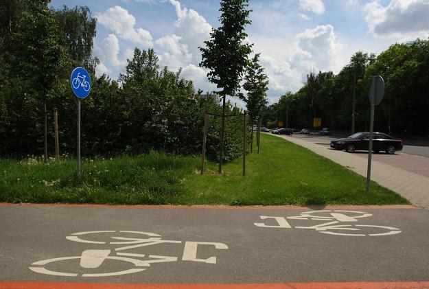 W Polsce mamy 9 tysięcy dróg rowerowych, w Czechach jest 37 tysięcy /Fot: Stanisław Kowalczuk /East News