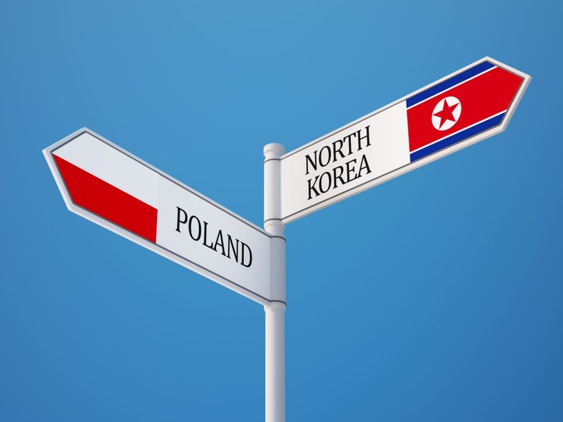 W Polsce może być zatrudnionych, poprzez różnych pośredników, od 500 do 800 pracowników z Korei Północnej /123RF/PICSEL