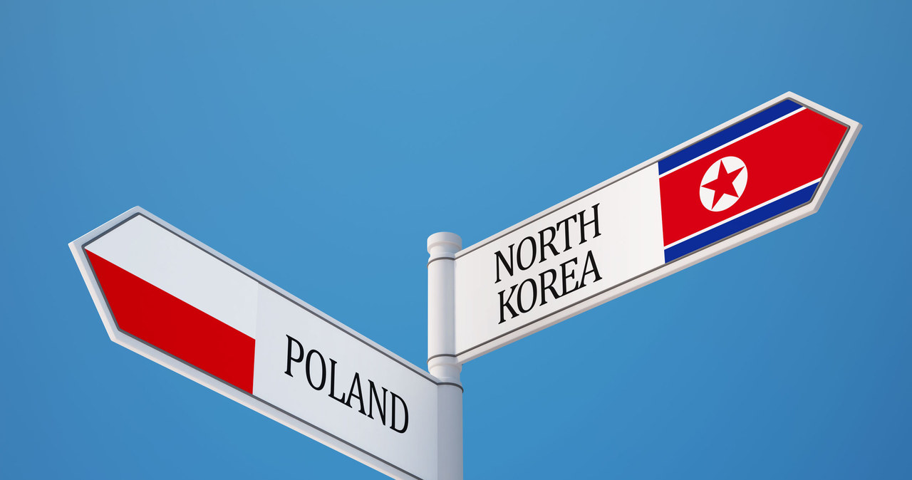 W Polsce może być zatrudnionych, poprzez różnych pośredników, od 500 do 800 pracowników z Korei Północnej /123RF/PICSEL