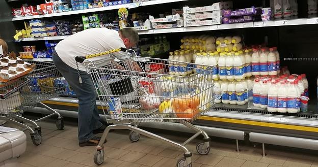 W Polsce na mleku nie da się zarobić. Sieci handlowe wymuszają niskie ceny na producentach /MondayNews