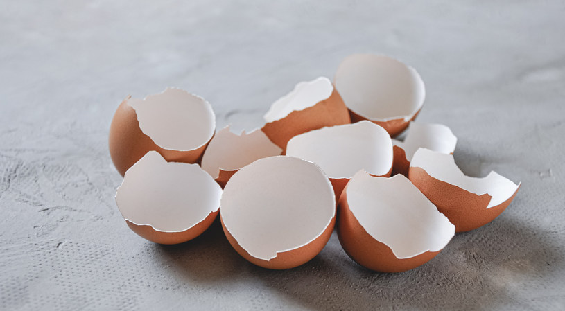 W Polsce nie będzie problemu z dostępnością jaj, ale należy liczyć się z wysokimi cenami - przekonują specjaliści /123RF/PICSEL