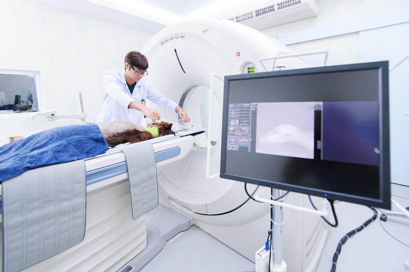 W Polsce powstanie pierwszy aparat do MRI generujący pole magnetyczne rzędu 7 Tesli /123RF/PICSEL