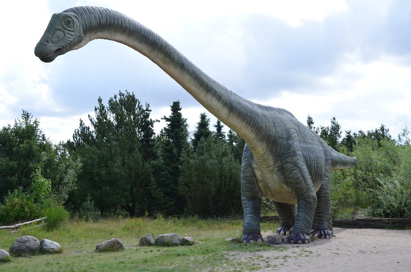 W Polsce również możemy spotkać ślady życia dinozaurów /Pixabay.com