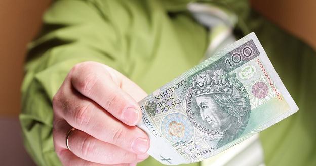 W Polsce rządzą papierowe pieniądze warte 100 zł /&copy;123RF/PICSEL