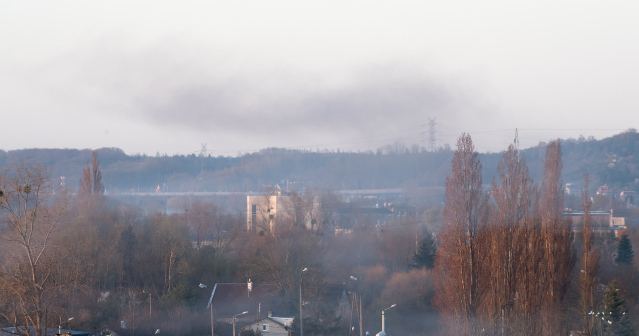 W Polsce smog "zabija" 40-50 tys. osób rocznie. Nie wiadomo, ile osób umrze na COVID-19 przez to, że zanieczyszczone powietrze osłabiło ich organizm /Wojciech Strozyk/REPORTER /East News