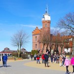 W Polsce w tym zawodzie pracuje mniej niż 20 osób. AI im nie grozi