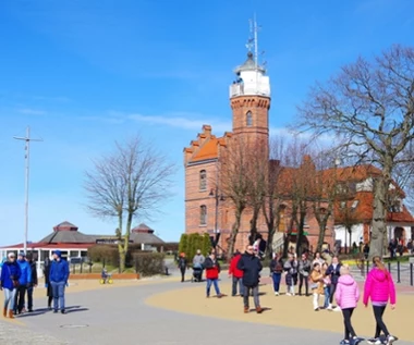 W Polsce w tym zawodzie pracuje mniej niż 20 osób. AI im nie grozi