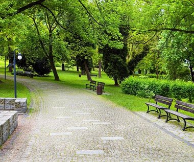 W polskich miastach ubywa parków
