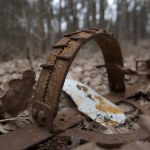 W polskim lesie znaleziono niebezpieczne pułapki. Leśnicy ostrzegają