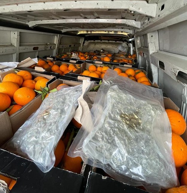 W pomarańczach wykryto 36 kilogramów narkotyków /Wielkopolska policja /Materiały prasowe