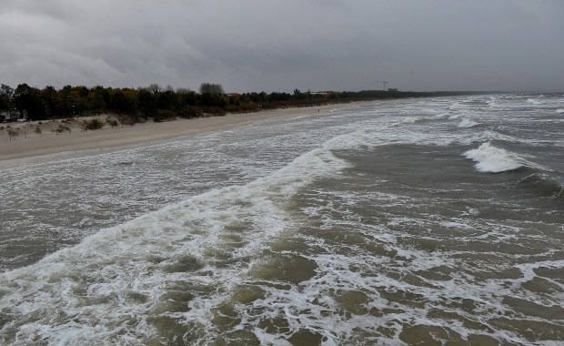 W Pomorskiem mocno wieje. W Gdańsku zamknięto cmentarze i Park Oliwski