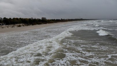 W Pomorskiem mocno wieje. W Gdańsku zamknięto cmentarze i Park Oliwski