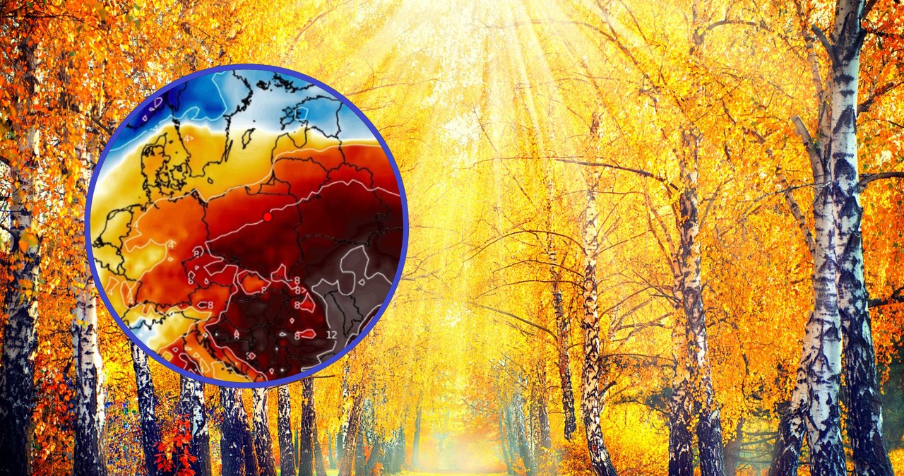 W poniedziałek temperatura będzie niezwykle wysoka jak na koniec października: na południu kraju temperatura może sięgnąć 20 st. C /subbotina/123rf/WXCHARTS /