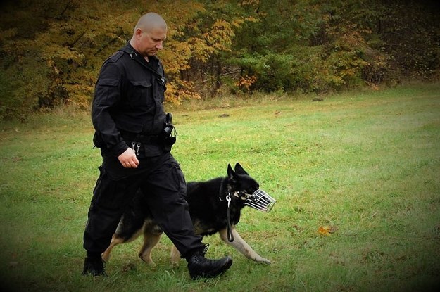 W poszukiwania zaangażował się także policyjny przewodnik z psem służbowym o imieniu Iluzjon /KPP w Opocznie /