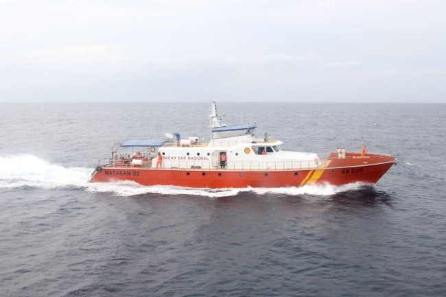 W poszukiwaniach uczestniczyło ok. stu osób /SAR / HANDOUT /PAP/EPA