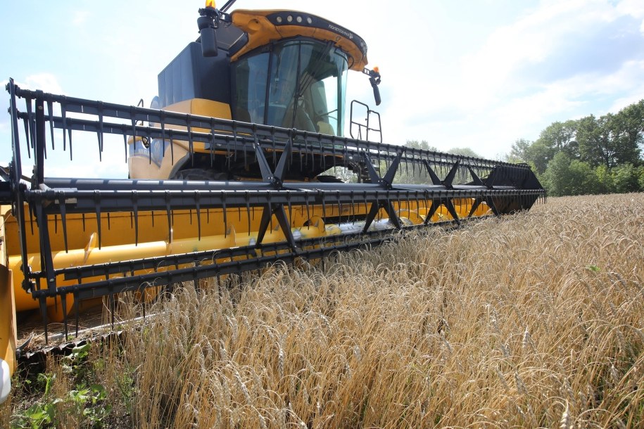 W poufnym raporcie KE zgłoszono sporo uwag ws. wdrażania w ukraińskim rolnictwie wymogów związanych z członkostwem w UE /Vyacheslav Madiyevskyy /PAP/UKRINFORM