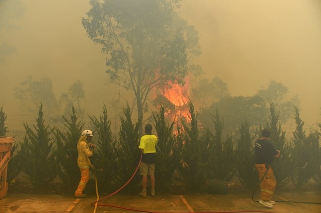 W pożarach zginęło już ponad miliard zwierząt /MICK TSIKAS /PAP/EPA