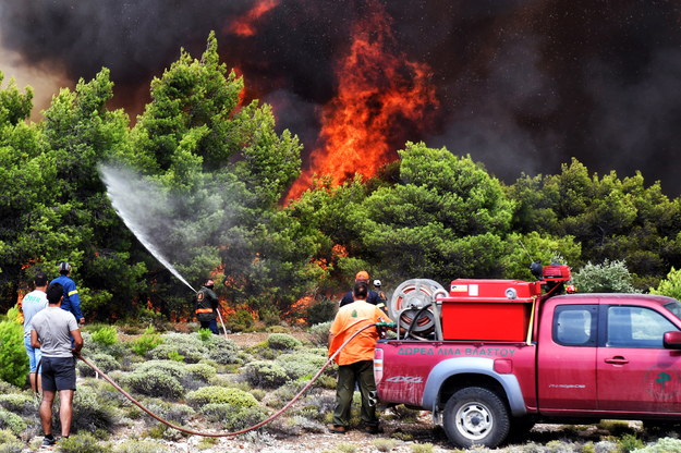 W pożarach zginęły co najmniej 74 osoby /VASSILIS PSOMAS   /PAP/EPA