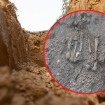 W Poznaniu znaleziono ludzkie kości. Natrafili na nie robotnicy