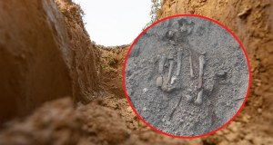 W Poznaniu znaleziono ludzkie kości. Natrafili na nie robotnicy