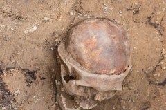 W Poznaniu znaleziono szkielet sprzed 400 lat ze śladami trepanacji czaszki