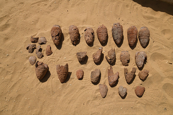 W pozostałościach potencjalnej świątyni archeolodzy odkopali szereg ceramicznych naczyń /تفاصيل الـخبر (antiquities.gov.eg)/ Egipskie Ministerstwo Starożytności i Turystyki /materiały prasowe