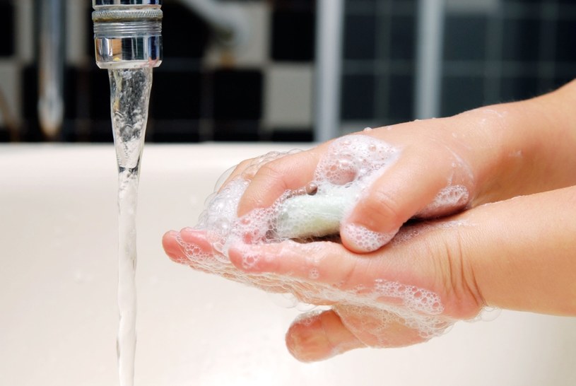 W profilaktyce bostonki kluczowe znaczenie ma higiena osobista. Zaleca się częste mycie rąk, zwłaszcza przed posiłkiem /123RF/PICSEL