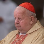 W prokuraturze jest zawiadomienie dot. kardynała Stanisława Dziwisza