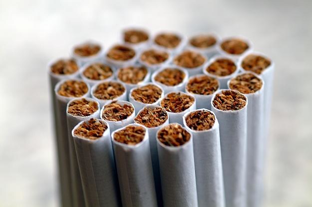 W przemyśle tytoniowym zarobki były najwyższe - mediana sięgnęła 5900 złotych /&copy; Bauer