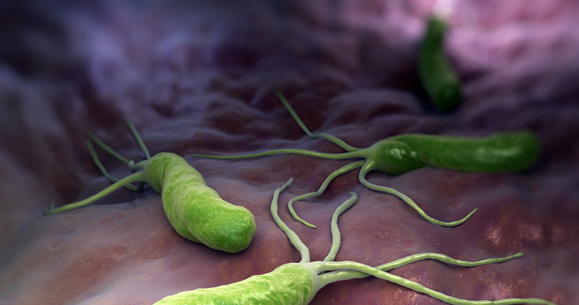 W przypadku Helicobacter pylori, leczenie polega na wdrożeniu antybiotyków oraz leków zmniejszających wydzielanie kwasu solnego /123RF/PICSEL