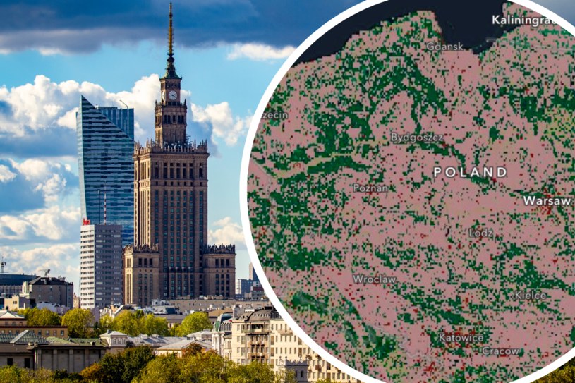 W przyszłości mocno zmniejszy się liczba terenów zielonych w okolicach dużych miast - miedzy innymi Warszawy /Getty Images