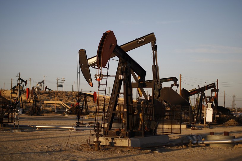 W przyszłym roku ceny ropy naftowej mogą wzrosnąć /David McNew /AFP